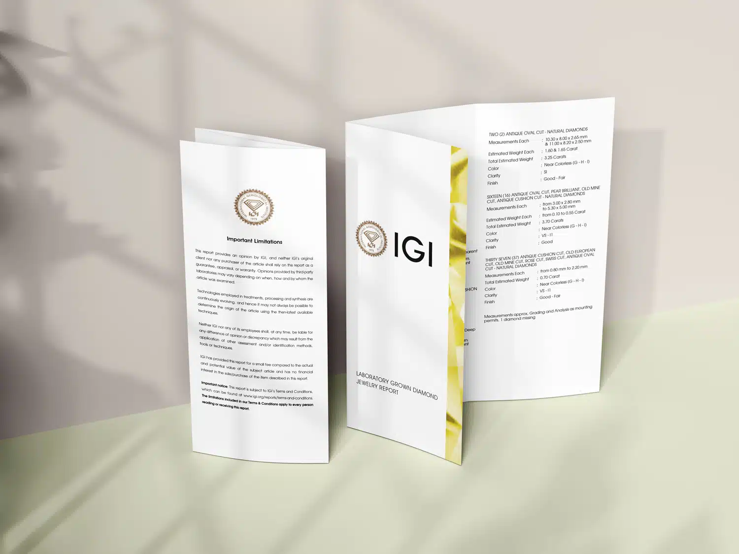 IGI report booklets showing their covers and an open jewellery-report page.