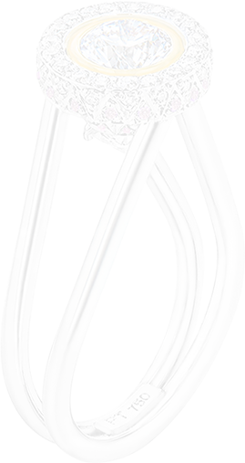 Award winning ring side view