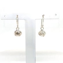 SS Drop String Ball Earrings
